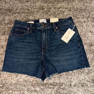 Universal Thread Vintage Mini Stretch Shorts 10/30R